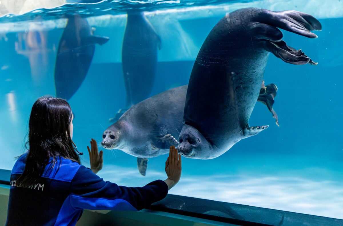 A Family Day at the Toledo Zoo & Aquarium