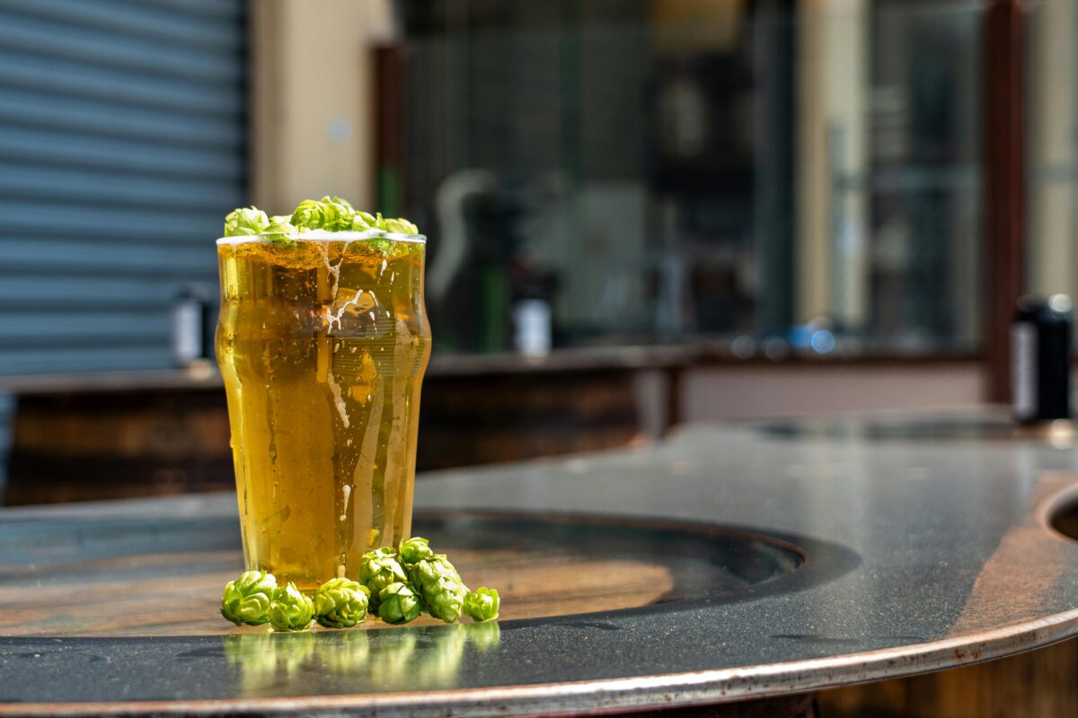 Best Local Breweries in and Around Toledo